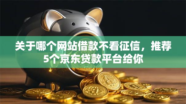 关于哪个网站借款不看征信，推荐5个京东贷款平台给你
