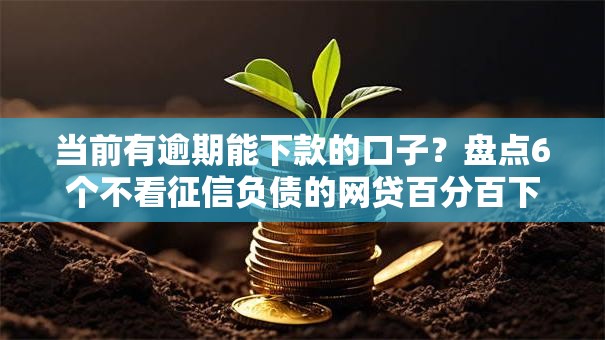 当前有逾期能下款的口子?盘点6个不看征信负债的网贷百分百下款口子给你参考 当前有逾期能下款的口子?盘点6个不看征信负债的网贷百分百下款口子给你参考