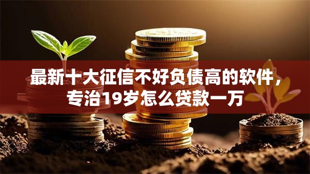 最新十大征信不好负债高的软件，专治19岁怎么贷款一万