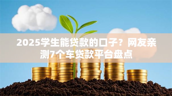 2025学生能贷款的口子？网友亲测7个车贷款平台盘点