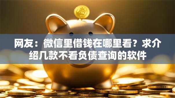 网友：微信里借钱在哪里看？求介绍几款不看负债查询的软件