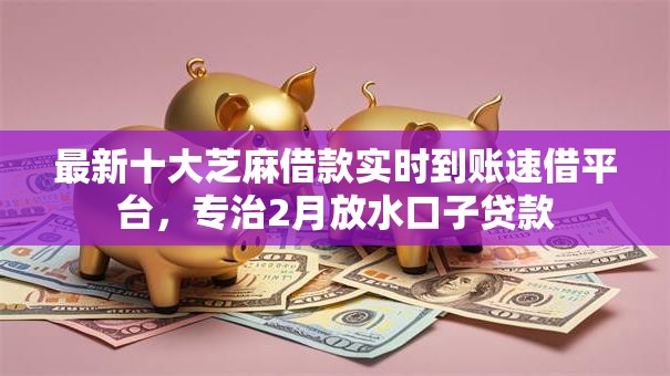 最新十大芝麻借款实时到账速借平台，专治2月放水口子贷款