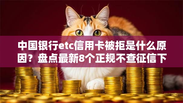 中国银行etc信用卡被拒是什么原因？盘点最新8个正规不查征信下款的平台