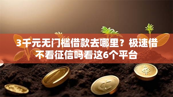 3千元无门槛借款去哪里？极速借不看征信吗看这6个平台