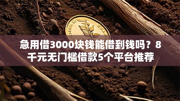 急用借3000块钱能借到钱吗？8千元无门槛借款5个平台推荐