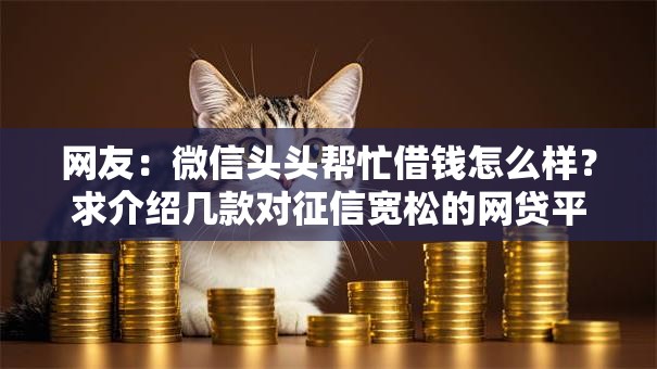 网友：微信头头帮忙借钱怎么样？求介绍几款对征信宽松的网贷平台