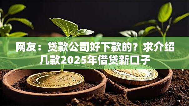 网友：贷款公司好下款的？求介绍几款2025年借贷新口子