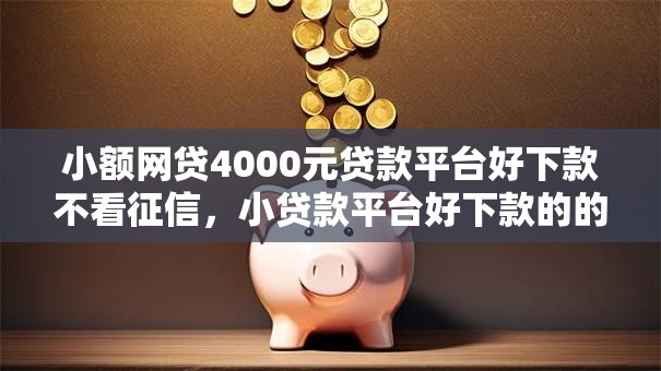 小额网贷4000元贷款平台好下款不看征信，小贷款平台好下款的的6个平台介绍