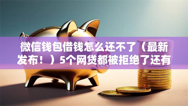 微信钱包借钱怎么还不了（最新发布！）5个网贷都被拒绝了还有什么口子