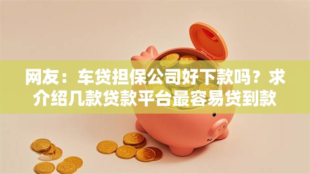 网友：车贷担保公司好下款吗？求介绍几款贷款平台最容易贷到款