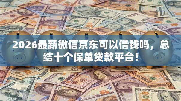 2026最新微信京东可以借钱吗，总结十个保单贷款平台！