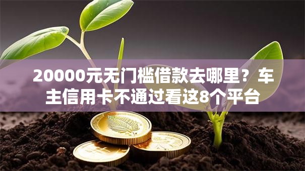 20000元无门槛借款去哪里？车主信用卡不通过看这8个平台