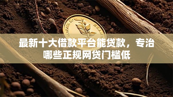 最新十大借款平台能贷款，专治哪些正规网贷门槛低