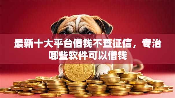 最新十大平台借钱不查征信，专治哪些软件可以借钱