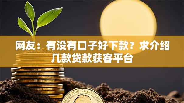 网友：有没有口子好下款？求介绍几款贷款获客平台