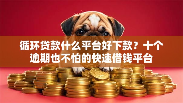 循环贷款什么平台好下款？十个逾期也不怕的快速借钱平台