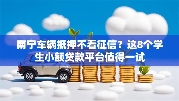 南宁车辆抵押不看征信？这8个学生小额贷款平台值得一试