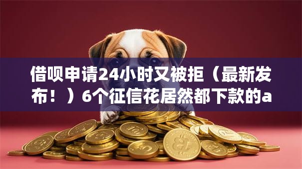 借呗申请24小时又被拒（最新发布！）6个征信花居然都下款的app