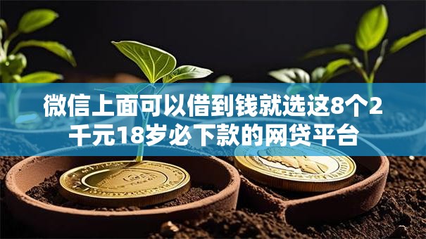 微信上面可以借到钱就选这8个2千元18岁必下款的网贷平台