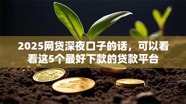 2025网贷深夜口子的话，可以看看这5个最好下款的贷款平台