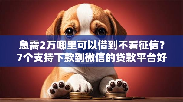 急需2万哪里可以借到不看征信？7个支持下款到微信的贷款平台好下款不看征信