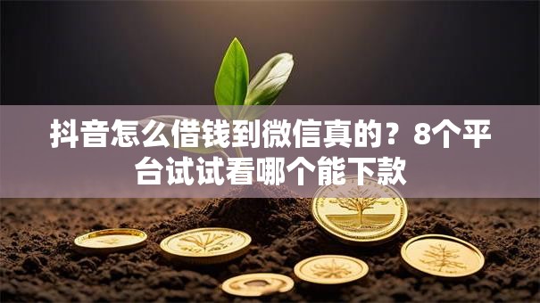 抖音怎么借钱到微信真的?8个平台试试看哪个能下款 抖音怎么借钱到微信真的?8个平台试试看哪个能下款