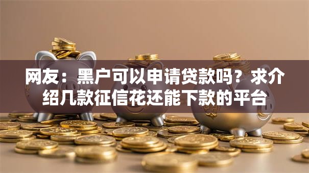 网友：黑户可以申请贷款吗？求介绍几款征信花还能下款的平台