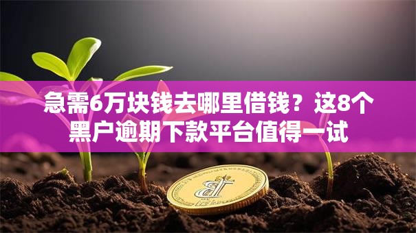 急需6万块钱去哪里借钱？这8个黑户逾期下款平台值得一试