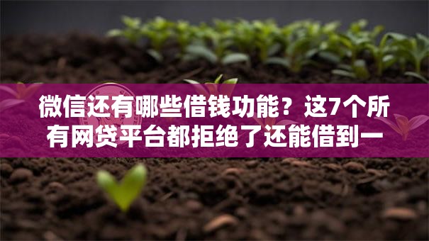 微信还有哪些借钱功能?这7个所有网贷平台都拒绝了还能借到一万的软件值得一试 微信还有哪些借钱功能?这7个所有网贷平台都拒绝了还能借到一万的软件值得一试
