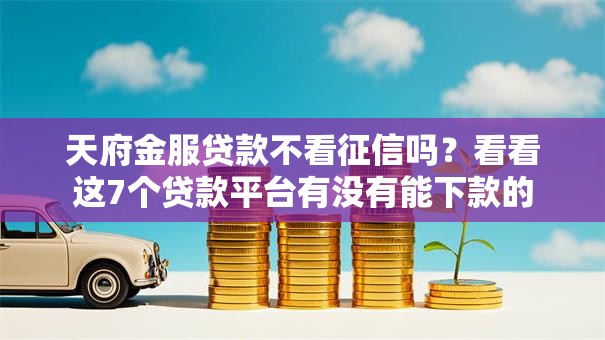 天府金服贷款不看征信吗？看看这7个贷款平台有没有能下款的