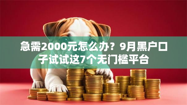急需2000元怎么办？9月黑户口子试试这7个无门槛平台
