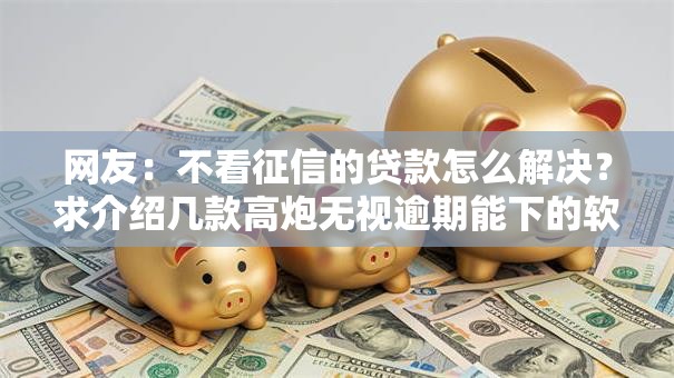 网友:不看征信的贷款怎么解决?求介绍几款高炮无视逾期能下的软件 网友:不看征信的贷款怎么解决?求介绍几款高炮无视逾期能下的软件
