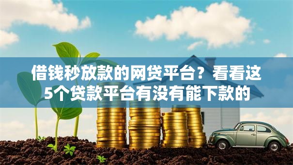 借钱秒放款的网贷平台?看看这5个贷款平台有没有能下款的 借钱秒放款的网贷平台?看看这5个贷款平台有没有能下款的