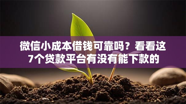 微信小成本借钱可靠吗？看看这7个贷款平台有没有能下款的