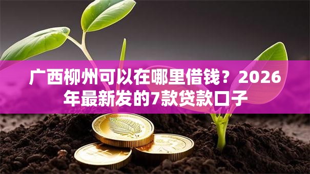 广西柳州可以在哪里借钱？2026年最新发的7款贷款口子