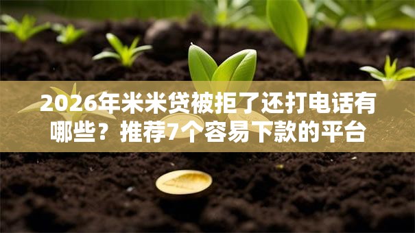 2026年米米贷被拒了还打电话有哪些？推荐7个容易下款的平台