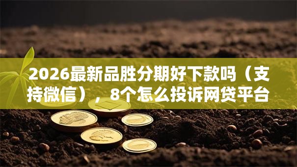2026最新品胜分期好下款吗（支持微信），8个怎么投诉网贷平台无私分享