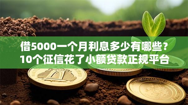 借5000一个月利息多少有哪些？10个征信花了小额贷款正规平台推荐给你