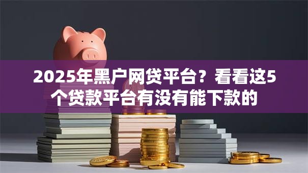 2025年黑户网贷平台？看看这5个贷款平台有没有能下款的