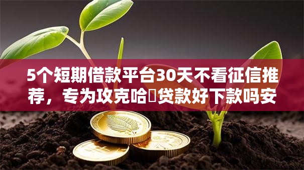 5个短期借款平台30天不看征信推荐,专为攻克哈啰贷款好下款吗安全吗难题 5个短期借款平台30天不看征信推荐,专为攻克哈啰贷款好下款吗安全吗难题