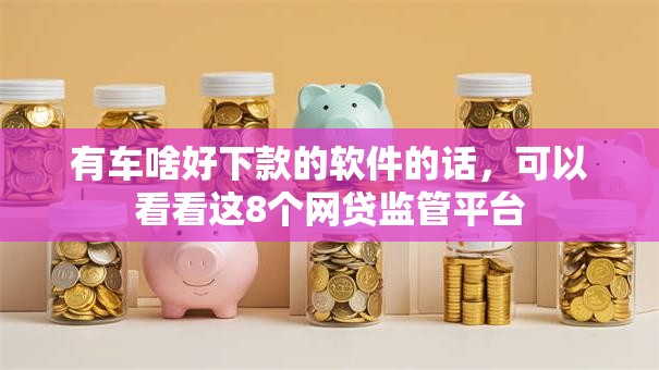 有车啥好下款的软件的话，可以看看这8个网贷监管平台