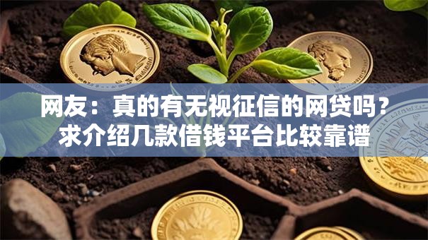网友：真的有无视征信的网贷吗？求介绍几款借钱平台比较靠谱