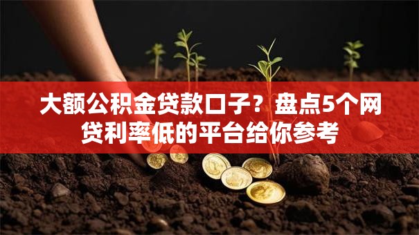大额公积金贷款口子？盘点5个网贷利率低的平台给你参考