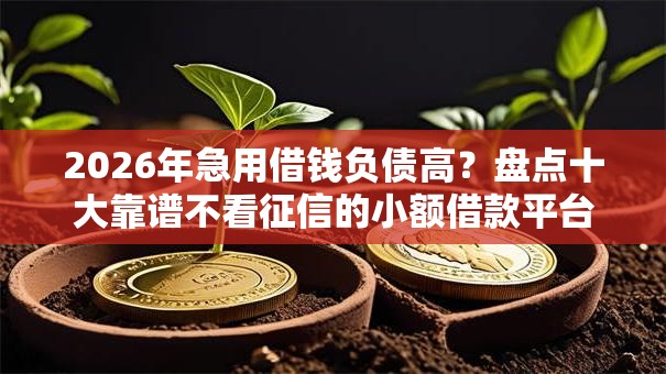 2026年急用借钱负债高？盘点十大靠谱不看征信的小额借款平台