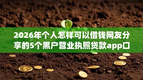 2026年个人怎样可以借钱网友分享的5个黑户营业执照贷款app口子我觉得不错! 2026年个人怎样可以借钱网友分享的5个黑户营业执照贷款app口子我觉得不错!