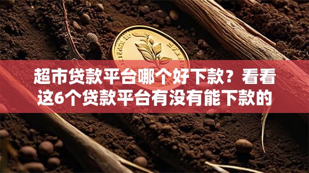 超市贷款平台哪个好下款?看看这6个贷款平台有没有能下款的 超市贷款平台哪个好下款?看看这6个贷款平台有没有能下款的