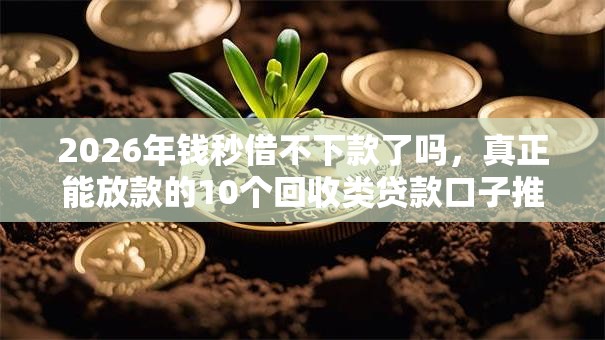 2026年钱秒借不下款了吗,真正能放款的10个回收类贷款口子推荐 2026年钱秒借不下款了吗,真正能放款的10个回收类贷款口子推荐