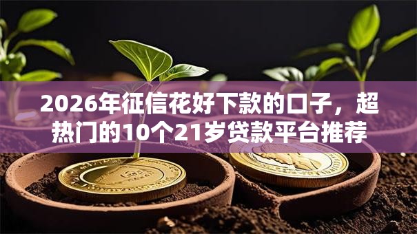 2026年征信花好下款的口子,超热门的10个21岁贷款平台推荐 2026年征信花好下款的口子,超热门的10个21岁贷款平台推荐
