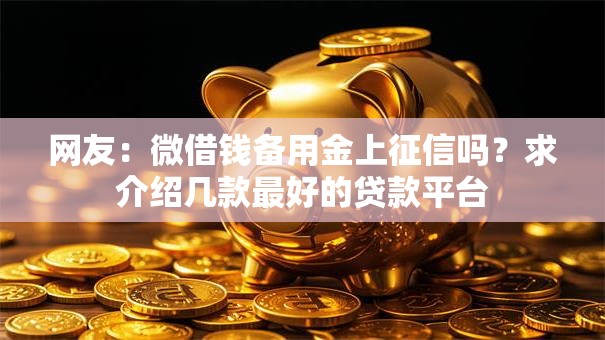 网友:微借钱备用金上征信吗?求介绍几款最好的贷款平台 网友:微借钱备用金上征信吗?求介绍几款最好的贷款平台