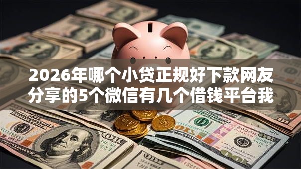 2026年哪个小贷正规好下款网友分享的5个微信有几个借钱平台我觉得不错！